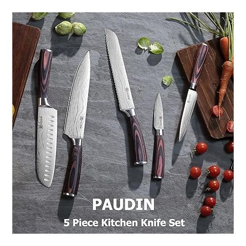  PAUDIN Kitchen Knife Set, Ultra Sharp Knife Set with Pakkawood Handle, High Carbon Stainless Steel Knives Set for Kitchen, 5 Piece Chef Knife Set Come with Gift Box