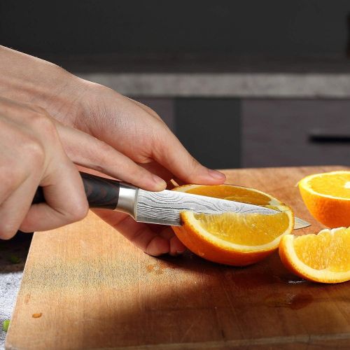  [아마존베스트]Utility Knife - PAUDIN 5 inch Chef Knife German High Carbon Stainless Steel Knife, Fruit and Vegetable Cutting Chopping Carving Knives, Ergonomic Handle with Gifted Box