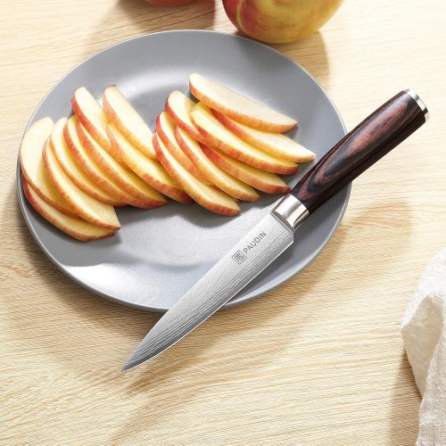  [아마존베스트]Utility Knife - PAUDIN 5 inch Chef Knife German High Carbon Stainless Steel Knife, Fruit and Vegetable Cutting Chopping Carving Knives, Ergonomic Handle with Gifted Box