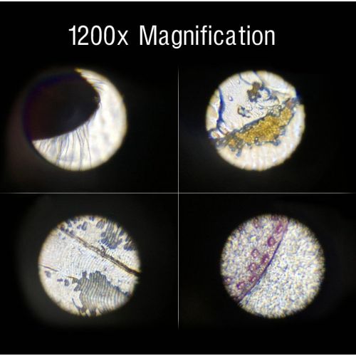  [아마존베스트]PBOX Science Kits for Kids Microscope Beginner Microscope Kit LED 100X, 400x, and 1200x Magnification Kids Science Toys,red