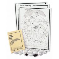 PELLETS INC. Barn Owl Pellet Classroom Kit