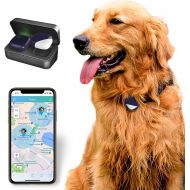 [아마존베스트]PetFon Pet GPS Tracker, No Monthly Fee, Real-Time Tracking Collar Device, APP Control for Dogs and Pets Activity Monitor(Only for Dog)