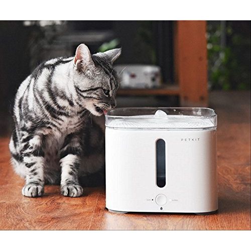  [아마존 핫딜]  [아마존핫딜]PETKIT P410 Smart Pet Trinkbrunnen fuer Haustiere EVERSWEET