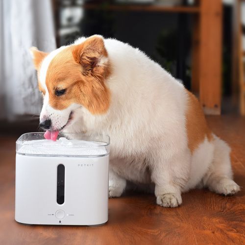  [아마존 핫딜]  [아마존핫딜]PETKIT P410 Smart Pet Trinkbrunnen fuer Haustiere EVERSWEET