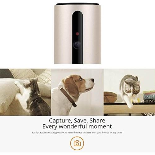  PETKIT SPCGY Smart Wi-Fi Video Pet Monitor