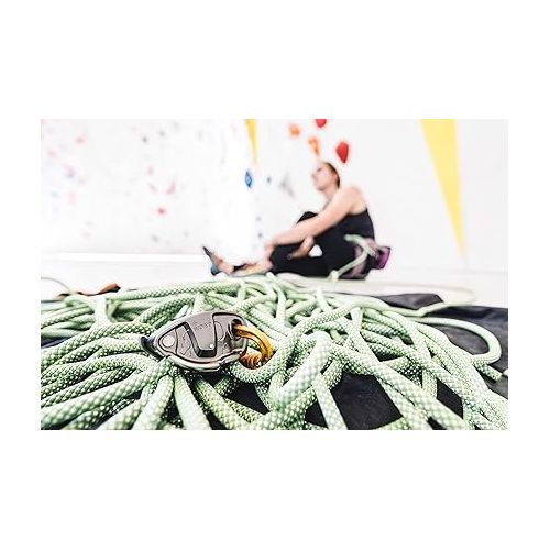  Petzl MAMBO Rope - 10.1 mm Diameter Single Dynamic Rope With Good Grip for Gym or Rock Climbing