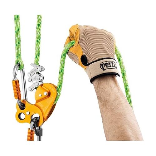  PETZL Zigzag Descender for Arborists D022AA00