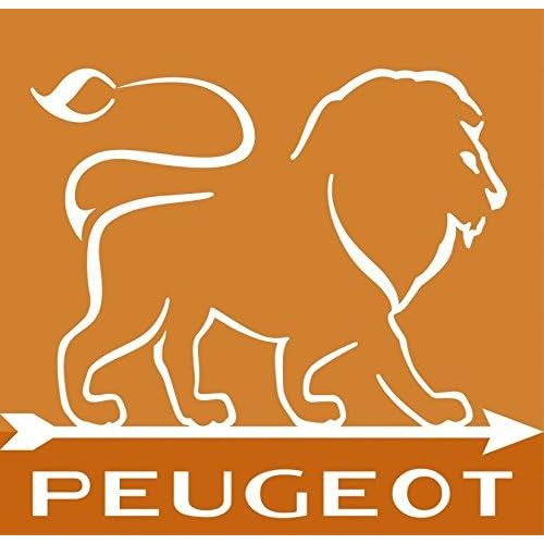  Peugeot Set Paris Chef Pfeffermuehle + Salzmuehle USelect Edelstahl 22 cm