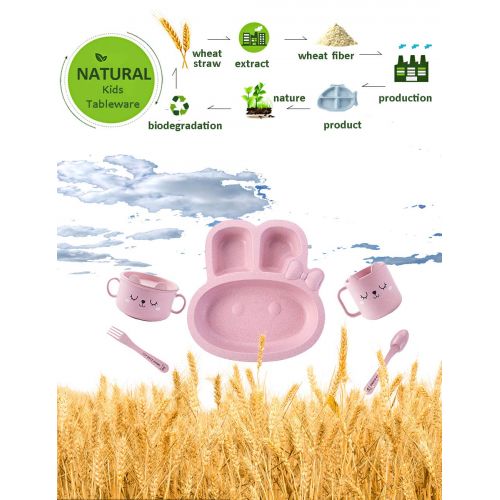  PFLife Wheat Straw 5Pcs Dinnerware Set, Kids Tableware Set Eco-Friendly Children Toddler Dishes Divided Feeding Plates with Bib