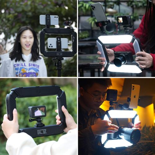  Smartphone Video Rig PICTRON U200 Handheld LED Ring Light Selfie Light Phone Video Stabilizer for Camera, Smartphone, Gopro, YouTube, Setup, Filmmaking, Makeup, Vlogging