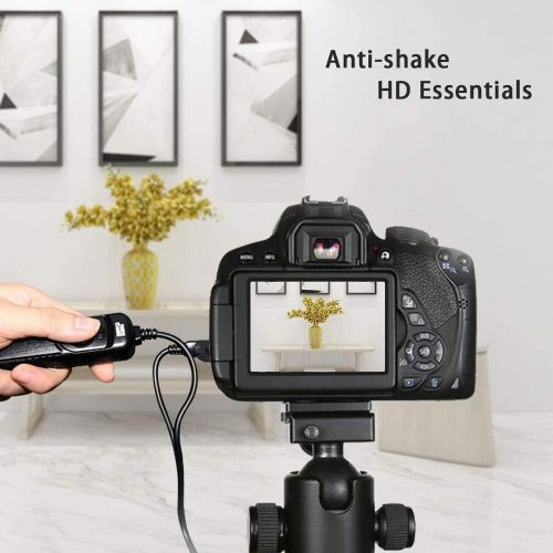  Pixel Remote Commander Shutter Release Cable DC0 Compatible with Nikon Z9 D3 D4 D5 D6 D800 D850 D800E D810 D810A D700 D500 D300 D200 F6 F100 F5 F90X F90 N90s D1X D2H D3X Compatible