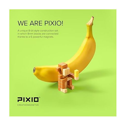  PIXIO-100 Magnetic Blocks - Pixel Art Building Toys - Open Ended Toys - Geek Gifts - Geek Toys - Display Desk Toys for Office for Adults - Tiny Toys Magnet Blocks