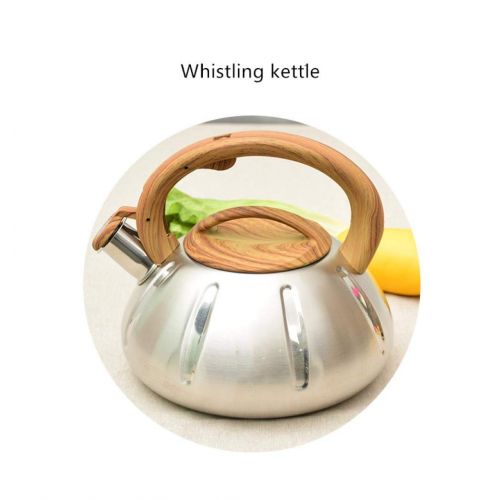  PLHMS 3L Outdoor Camping Kettle,Stainless Steel Kettle with Carrying Bag, Compact Lightweight Tea Kettle