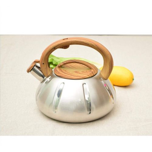  PLHMS 3L Outdoor Camping Kettle,Stainless Steel Kettle with Carrying Bag, Compact Lightweight Tea Kettle