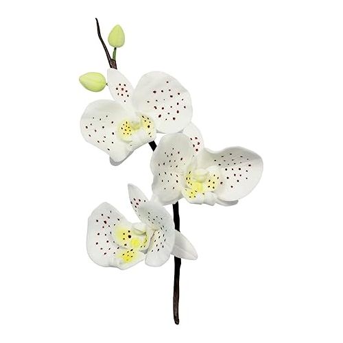  PME Stainless Steel Moth Orchid Petal Cutters, Set of 3, Standard, Silver