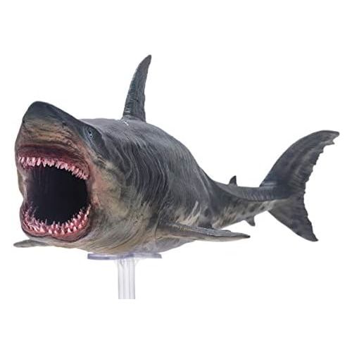  PNSO Prehistoric Animal Models: Patton The Megalodon (Big White Shark) 13 Ancient Sea Monster