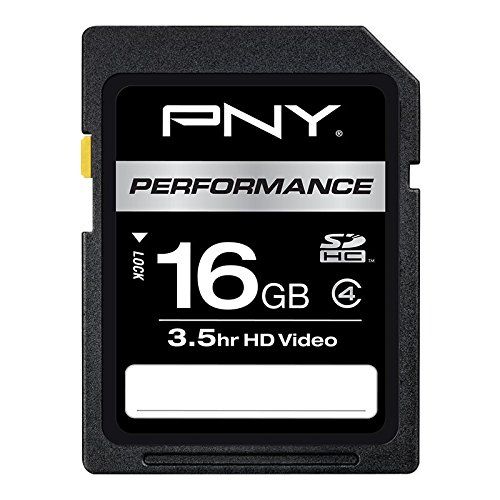  PNY 16 GB SDHC Class 4 Flash Memory Card (P-SDHC16G4H-GE)