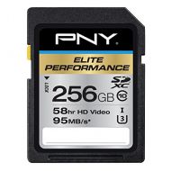 PNY Elite Performance 256 GB High Speed SDXC Class 10 UHS-I, U3 up to 95 MBSec Flash Card (P-SDX256U395-GE)