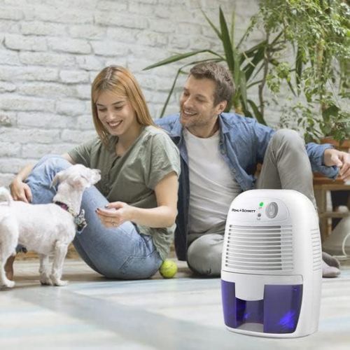  Pohl Schmitt Mini Dehumidifier, 17oz Water Tank, Ultra Quiet - Small Portable Design for Homes, Basements, Bathrooms and Bedrooms - Removes Air Moisture to Prevent Dust Mites, Mold