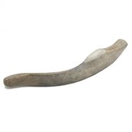 PRAIRIE DOG PET PRODUCTS Deer Antler, Regular 6-7