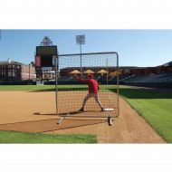 ProCage 1st BaseFungo Replacement Net, 7 x 7