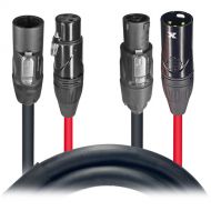 ProX Dual Powerkon to 3-Pin XLR Dual Combo Link Jumper Cable (10')