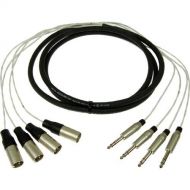 Pro Co Sound MT4BQXM-10 Multitrack Analog Studio Harness Cable
