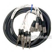 Pro Co Sound MT8BQXM-20 Analog Harness Cable 8x 1/4