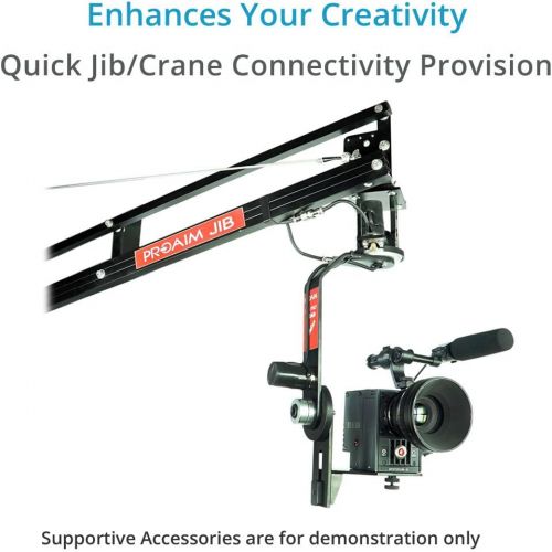 프로 PROAIM Proaim Professional Motorized Jr. Pan Tilt Head with 12V Joystick Control For DSLR Video Cameras Camcorders up to 6kg13.2lb For Jib Crane Tripod + Carrying Bag (PT-JR)