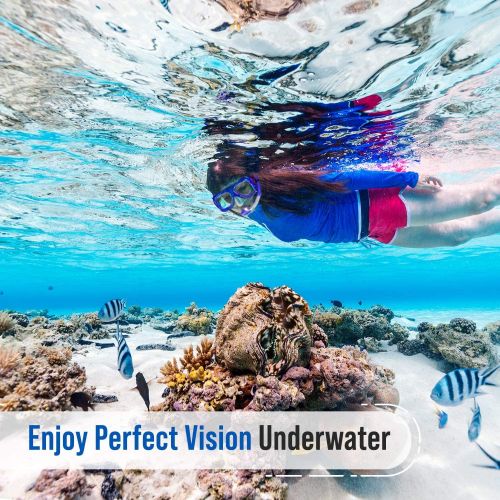  PRODIVE Premium Dry Top Snorkel Set - Impact Resistant Tempered Glass Diving Mask,Watertight and Anti-Fog Lens for Best Vision, Easy Adjustable Strap, Waterproof Gear Bag Included