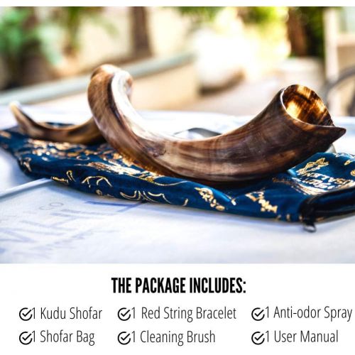  ProShofar Israel Shofar Set - Natural Kudu Horn Shofar - Kosher Shofar Yemenite Traditional Musical Instrument for Jewish Spiritual Ceremonies and Religious Sermons, Made in Israel