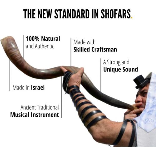  ProShofar Israel Shofar Set - Natural Kudu Horn Shofar - Kosher Shofar Yemenite Traditional Musical Instrument for Jewish Spiritual Ceremonies and Religious Sermons, Made in Israel
