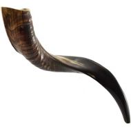 ProShofar Israel Shofar Set - Natural Kudu Horn Shofar - Kosher Shofar Yemenite Traditional Musical Instrument for Jewish Spiritual Ceremonies and Religious Sermons, Made in Israel