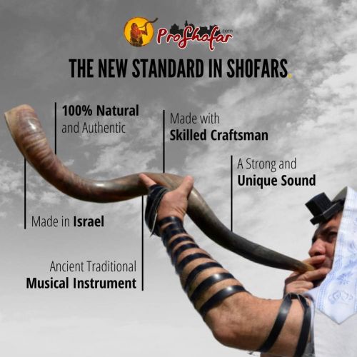  ProShofar Israel Shofar Set - Natural Kudu Horn Shofar - Kosher Shofar Yemenite Traditional Musical Instrument for Jewish Spiritual Ceremonies and Religious Sermons, Made in Israel