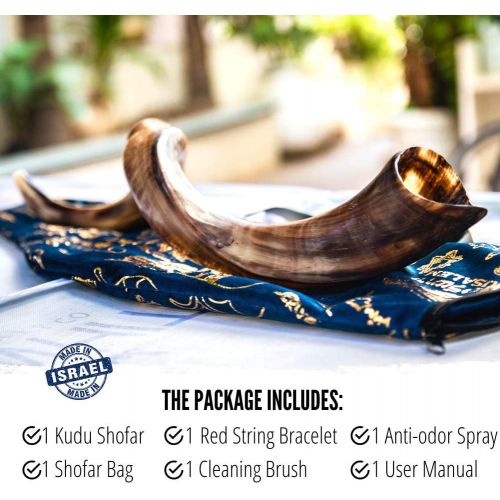  ProShofar Israel Shofar Set - Natural Kudu Horn Shofar - Kosher Shofar Yemenite Traditional Musical Instrument for Jewish Spiritual Ceremonies and Religious Sermons, Made in Israel