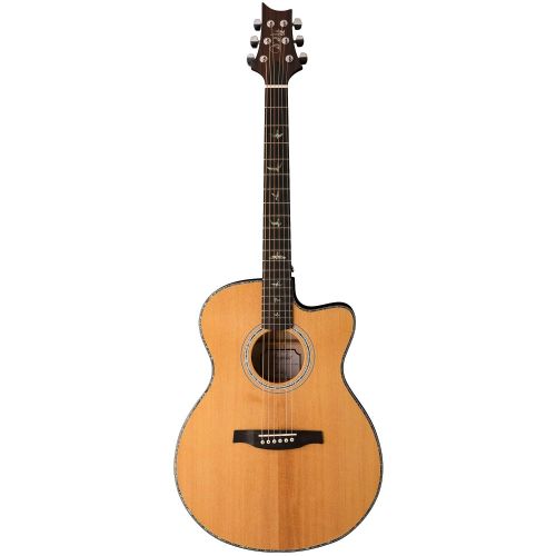  PRS 6 String Acoustic-Electric Guitar Right, TXE20ENA w/Hard Case & Accessories (TXE20ENA-KIT-1