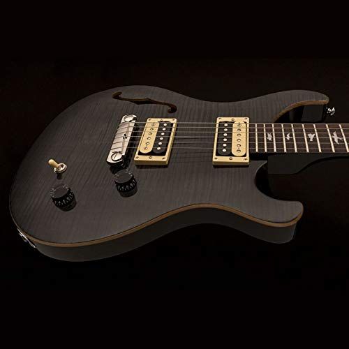  PRS Guitars PRS Paul Reed Smith SE Custom 22 Semi-Hollow Electric Guitar with Gig Bag, Gray Black
