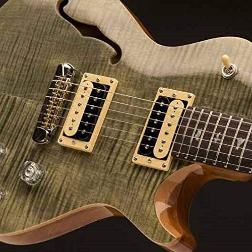  PRS Guitars PRS Paul Reed Smith SE Zach Myers Semi-Hollow Body Electric Guitar with Gig Bag, Trampas Green