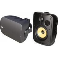 PSB CS 1000 BLK CS1000 Universal in-Outdoor Speaker - Black