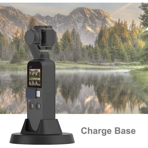  PULUZ USB-C/Type-C Charge Dock Station Desktop Charging Base Bracket for DJI Osmo Pocket