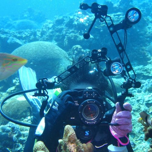  PULUZ Aluminum Alloy 1” Ball Clamp 3 Mount Holes Clip Adapter for Diving Underwater Arm System Diving Tray GoPro LED Light