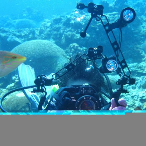  PULUZ Dual Handle Aluminum alloy Handheld Stabilizer Diving Tray for GoPro Hero New 2018 6 5 4 Session Xiaoyi Sports Action Cameras and Canon Sony Nikon DSLR Cameras accessories Un