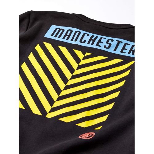 푸마 PUMA Mens Standard Manchester City MCFC Ftblculture Sweater