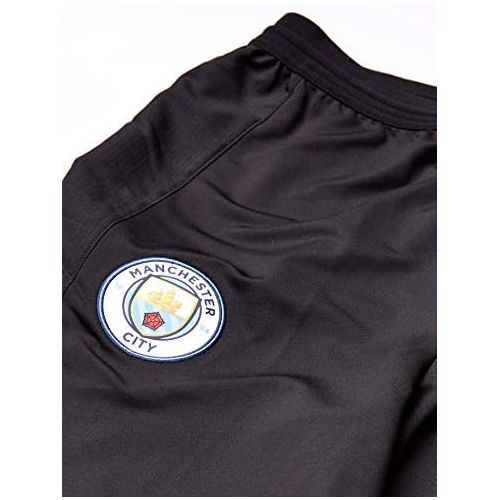 푸마 PUMA Mens Standard Manchester City MCFC Training Pants