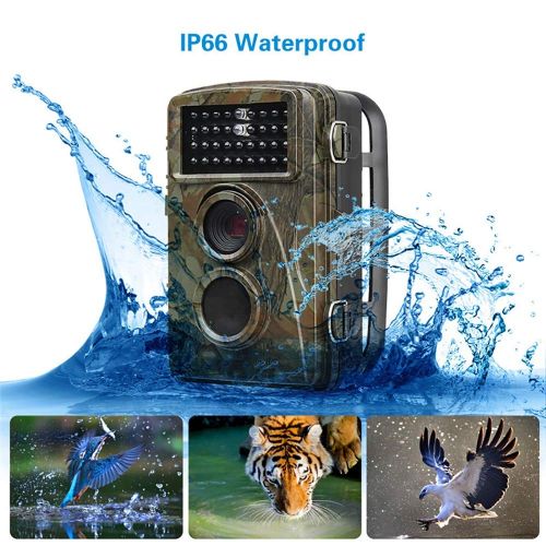  PYXZQW Game camera Game Camera IP66 Wildlife Trail Camera 12MP 1080P HD Infrared Camera Night Vision 20m and 2.4Inch LCD Display