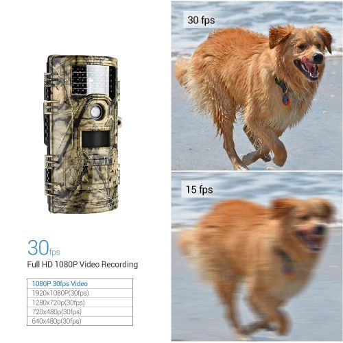  PYXZQW Game camera Game Camera Wild Animal 14MP 1080P Hunting Activity Activate Night Vision 20M Trap with 2.31 LCD Display IP54 Waterproof IR LED for Outdoor Wildlife Hunting