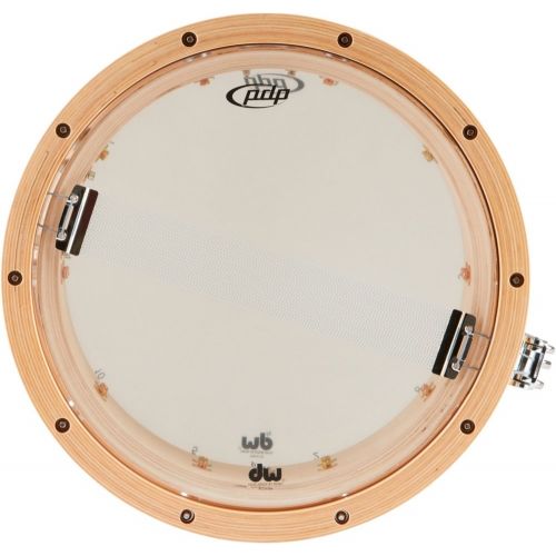  Pacific Concert Snare Drum (PDSN6514NAWH)