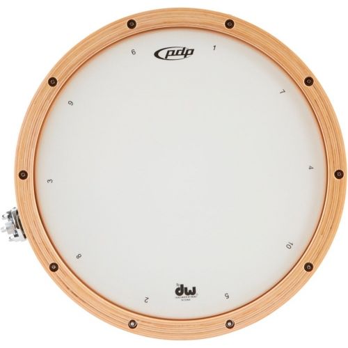  Pacific Concert Snare Drum (PDSN6514NAWH)