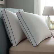 Pacific Coast Double DownAround Medium 2 Pack Pillow 300 Thread Count 550 Fill Power Down & Resilia Feathers - King