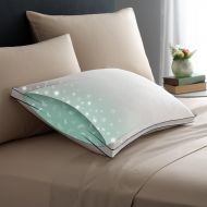 Pacific Coast Double DownAround Soft Pillow 300 Thread Count 550 Fill Power Down & Resilia Feathers - Standard